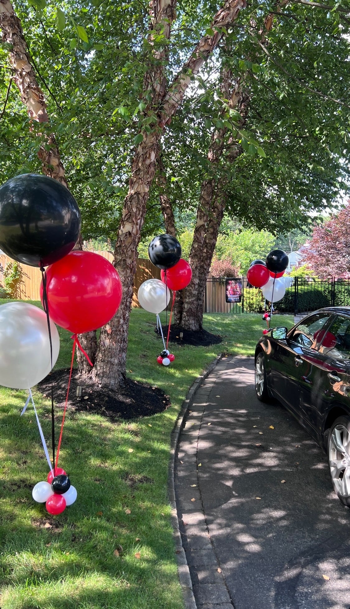 Jumbo & Big Size Balloons